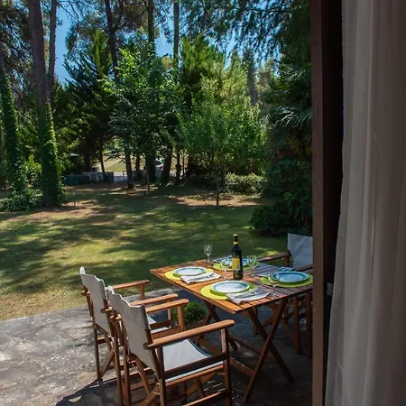 Vilă Villa Verde Sani