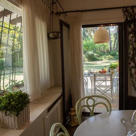 Villa Verde Sani Sani (Chalkidiki)