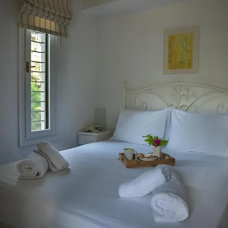 Villa Verde Sani Vilă